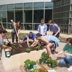 Botany students planting garden at SCSU science building