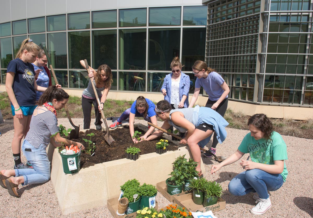 Botany students planting garden at SCSU science building