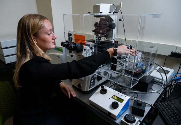 a student works with lab equipment