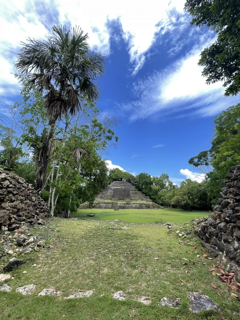 A Maya stone temple is surrounded by greenery .