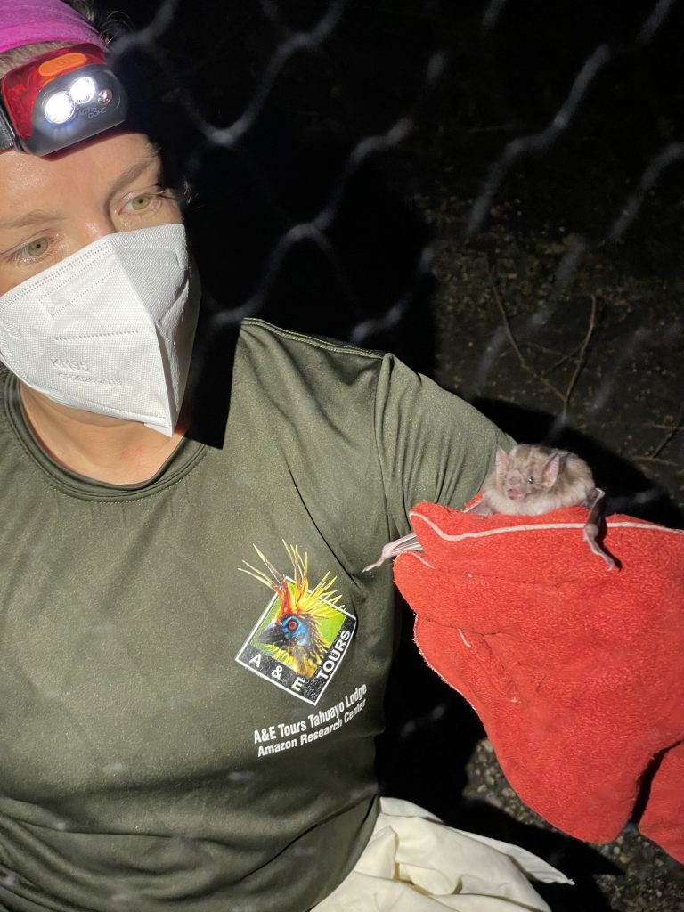 Wearing thick red gloves and a face mask, Dunbar gently holds a small bat.