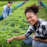 two students in a field of cannabis plants smile at the camera